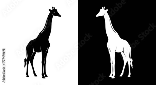 Elegant Black and White Giraffe Silhouettes with Striking Contrast