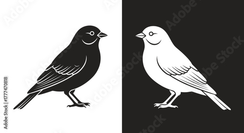 Stylized Black and White Birds Vector Illustration