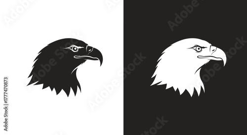 Stylized Eagle Head Vector Illustration Design
