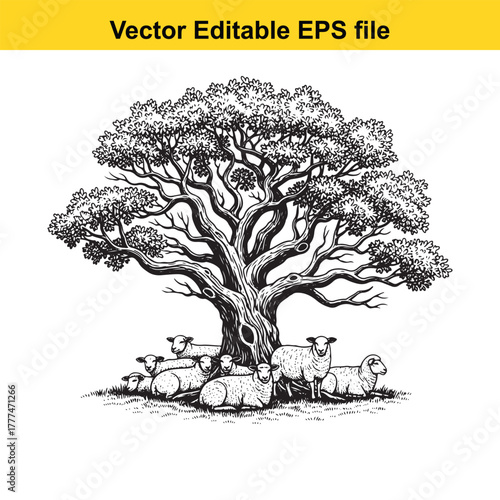 Sheep resting under a large tree with intricate branches, black and white illustration
