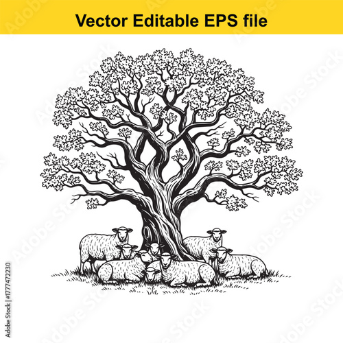 A flock of sheep resting peacefully under the shade of a large, old tree on a grassy field, black and white illustration