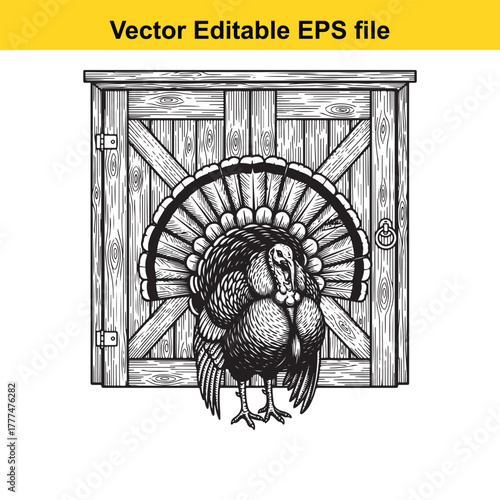 A detailed black and white illustration of a turkey with its tail feathers fanned out, standing in front of a rustic wooden barn door