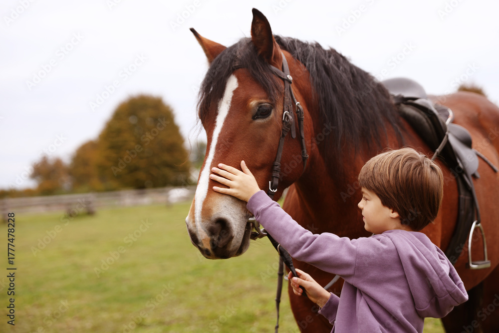 Obraz premium Equine assisted therapy. Little boy stroking beautiful horse in countryside, space for text. Lovely domesticated pet