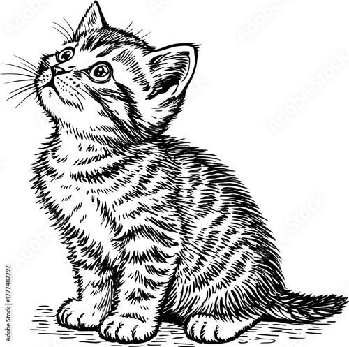 Create a highly detailed black-and-white hand-drawn sketch of a cute tabby kitten sitting with its front paws forward and large, expressive eyes. The fur should be textured with fine linework, and the