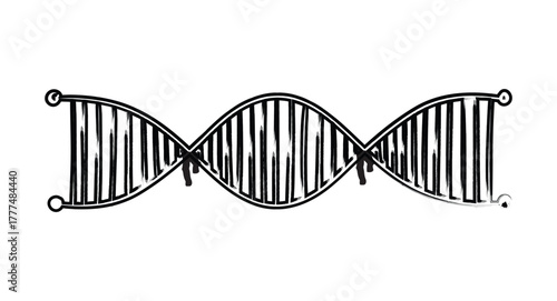 Illustration of a stylized dna double helix strand with a sketch like appearance on a white background