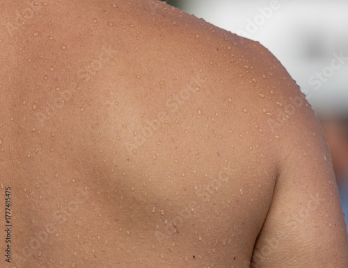 Wallpaper Mural A person's back is wet Torontodigital.ca