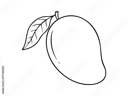 Simple mango fruit line illustration, perfect for coloring books, educational materials, food design projects, or tropical fruit-themed creative works.