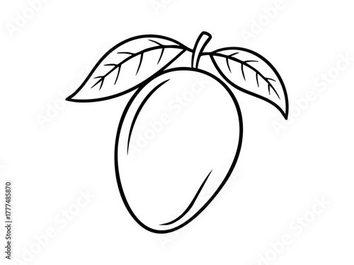 Simple mango outline with leaf, perfect for coloring pages, educational materials, and fruit-themed design projects for kids and adults.