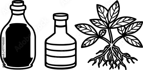 A stylized illustration showcasing various representations of ginseng. Two jars with cork stoppers each house a ginseng root, one is black and white, the other a warm, golden hue. A complete ginseng p
