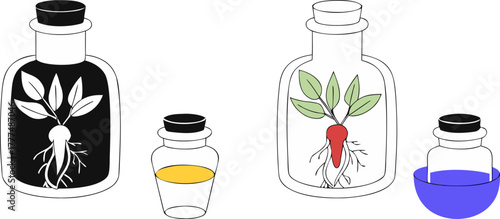 A stylized illustration showcasing various representations of ginseng. Two jars with cork stoppers each house a ginseng root, one is black and white, the other a warm, golden hue. A complete ginseng p