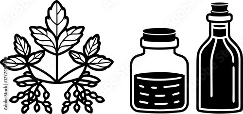 A stylized illustration showcasing various representations of ginseng. Two jars with cork stoppers each house a ginseng root, one is black and white, the other a warm, golden hue. A complete ginseng p
