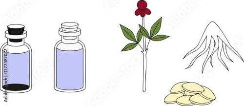 A stylized illustration showcasing various representations of ginseng. Two jars with cork stoppers each house a ginseng root, one is black and white, the other a warm, golden hue. A complete ginseng p