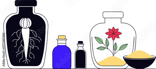 A stylized illustration showcasing various representations of ginseng. Two jars with cork stoppers each house a ginseng root, one is black and white, the other a warm, golden hue. A complete ginseng p