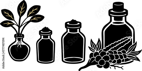 A stylized illustration showcasing various representations of ginseng. Two jars with cork stoppers each house a ginseng root, one is black and white, the other a warm, golden hue. A complete ginseng p