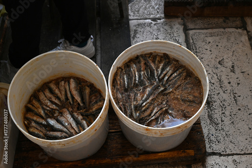 Seaux de harengs saumurés au marché aux poissons de Split