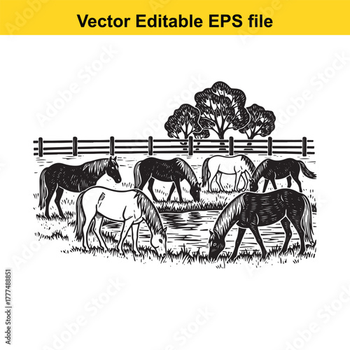 Herd of horses grazing by a pond, black and white illustration, vector editable eps file