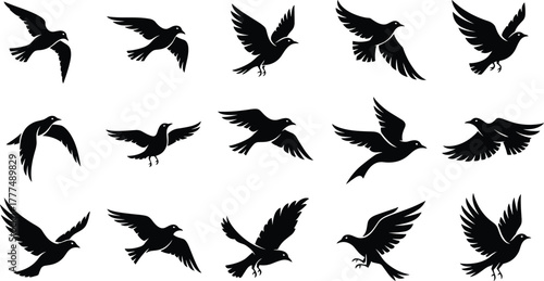 Silhouette collection of birds in flight, multiple wing positions, dynamic motion, wildlife nature pattern, freedom concept, cad drawing flat vector illustration