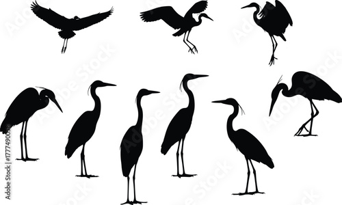 Silhouette collection of herons in various poses, standing walking flying positions, wildlife bird design, nature animal posture, cad drawing flat vector illustration
