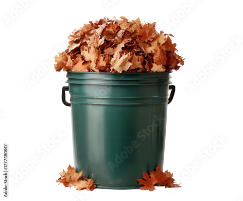 A green bucket overflowing with dry autumn leaves, isolated on transparent background