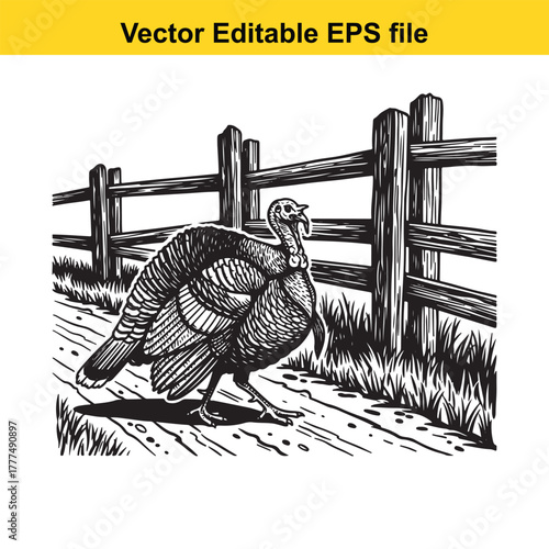 A black and white illustration of a turkey walking in front of a wooden fence, with grass and a path
