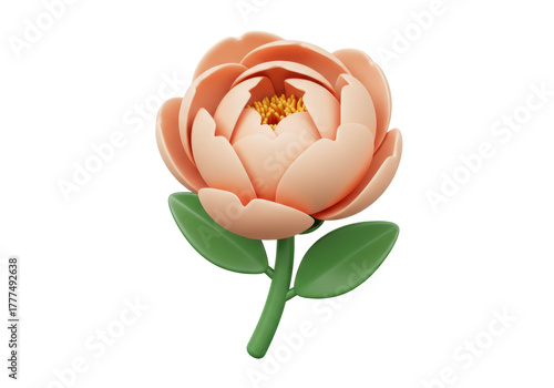 Isolated flower with stem and leaves, stylized peach peony bloom, floral design element
