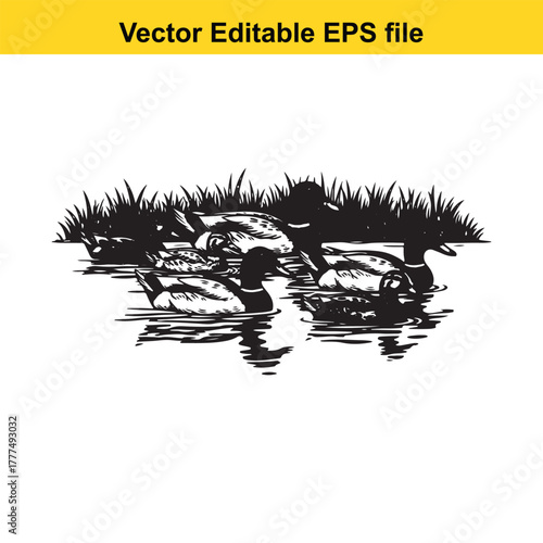 A group of mallard ducks swimming together in a calm body of water with tall grass on the bank