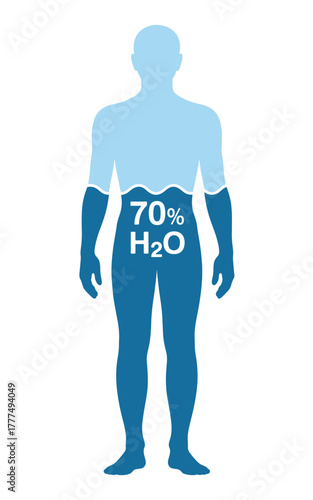 Human Body Composition Showing Water Percentage For Health Illustration Design