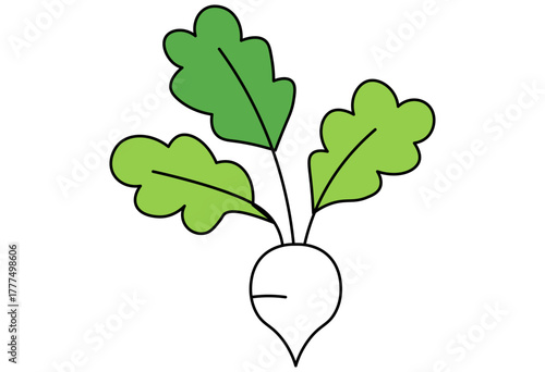 Healthy ingredients set with vegetables, salmon, and fruits for balanced diet and nutrition illustration