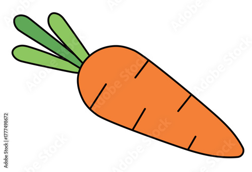 Healthy ingredients set with vegetables, salmon, and fruits for balanced diet and nutrition illustration