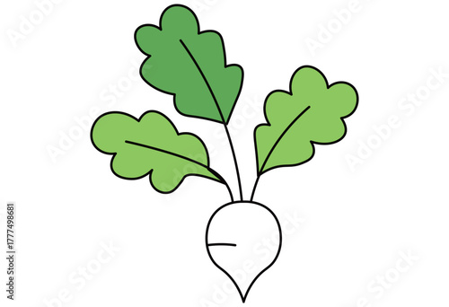 Healthy ingredients set with vegetables, salmon, and fruits for balanced diet and nutrition illustration