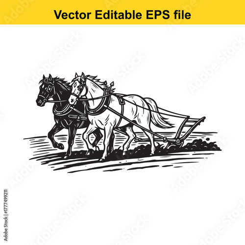Two horses pulling a plow in a field, vintage illustration style, black and white vector art