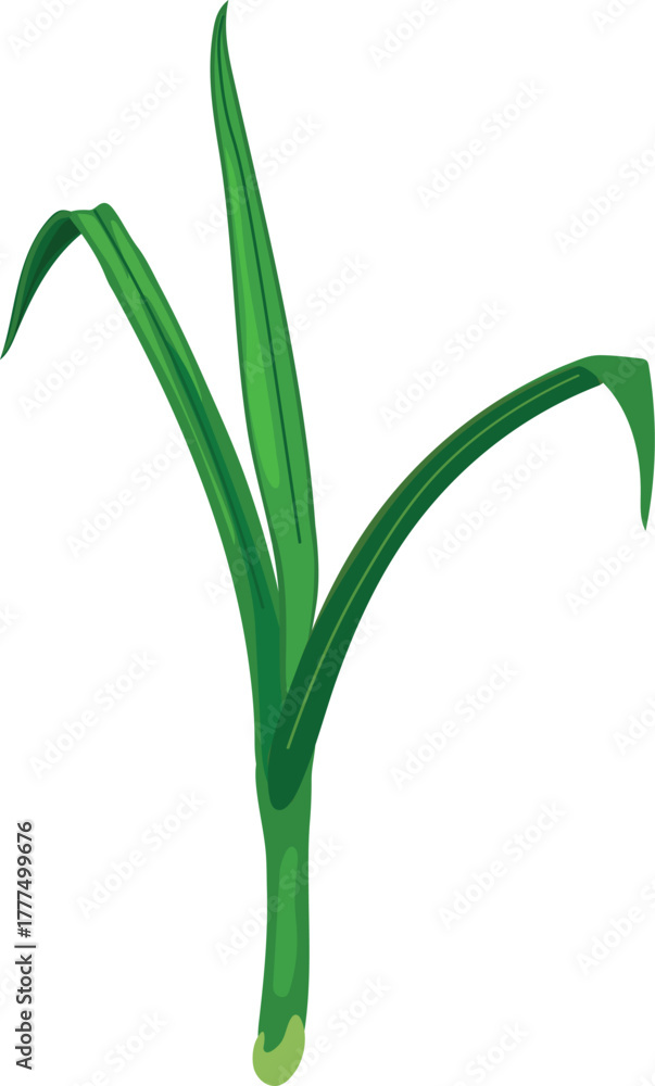 Naklejka premium Sprout of a cereal plant isolated on white background