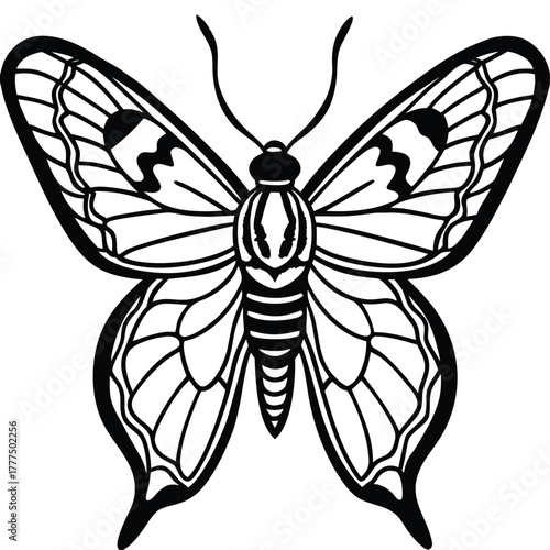 Black and white butterfly silhouette icon