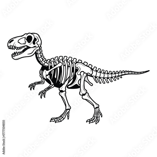 A detailed illustration of a Tyrannosaurus Rex dinosaur skeleton.