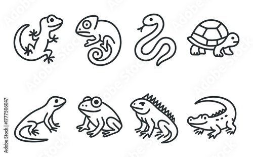 Outline icons of reptiles and amphibians: lizard, chameleon, frog, snake, turtle