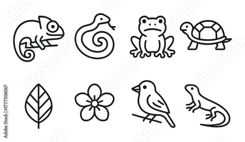 Outline icons of various animals and nature elements on dark background