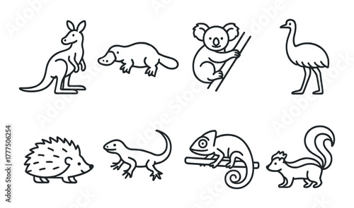 Silhouette set of australian and exotic animals on black background