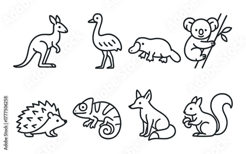 Outline drawings of australian wildlife: kangaroo, emu, platypus, koala, hedgehog, chameleon, fox, squirrel