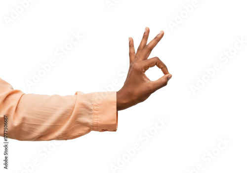 Schilderij op canvas Isolated hand gesture ok sign of agreement perfection approval african american