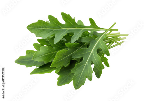 Foto Isolated bunch of fresh green arugula, peppery flavor ingredient for salads and
