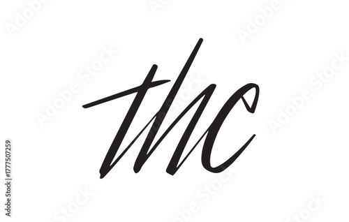 The Stylish Serif  Word Vector Design