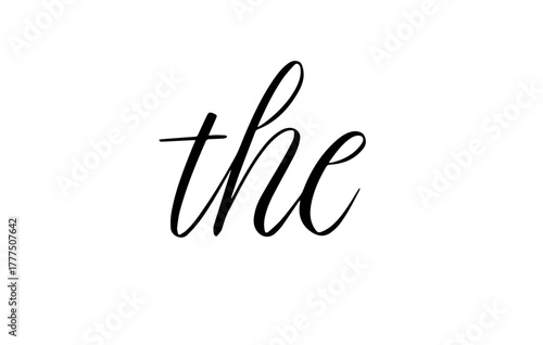 The Word Elegant Script Typography Word Vector