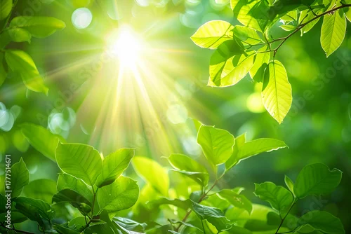 Panel kuchenny z motywem Zielone liście oświetlone promieniami słońca w lesie – natura, ekologia i wiosenna świeżość w pełnym świetle