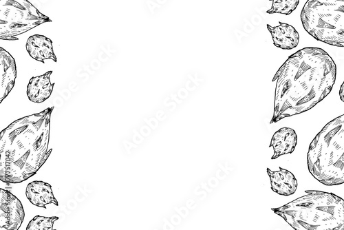 Hand drawn dragon fruit frame with space for text. Food background with tropical exotic fruit. Ink drawing pitahaya vertical frame for packaging design, fabric, textile, wrapping paper. Vintage art.