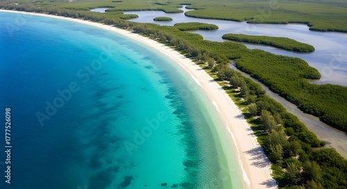 Aerial View of a Pristine Tropical Beach with Turquoise Waters and Lush Mangrove Forests.