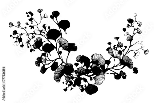 Elegant Monochrome Floral Design: Black White Buttercup Blackthorn Leaves | Clean, isolated vector art for creative projects.