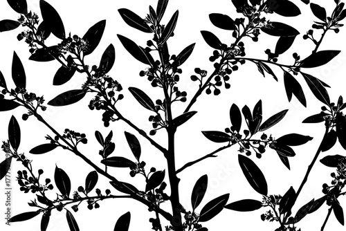 Monochrome floral tapestry: symphony bay laurel kalmia | Clean, isolated vector art for creative projects.