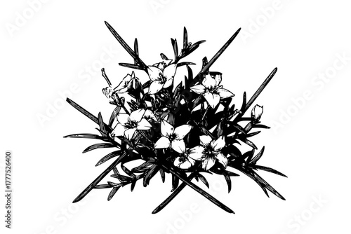 Elegant Floral Arrangement: Speedwell & Yew | Clean, isolated vector art for creative projects.