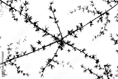Aerial Roots Plants: Black White Study | Clean, isolated vector art for creative projects.