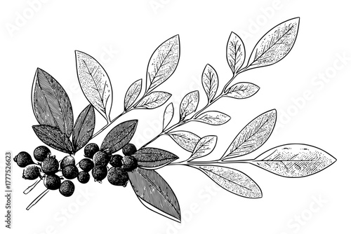 Elegant Ephemeral: Azalea & Blueberry Bouquet | Clean, isolated vector art for creative projects.